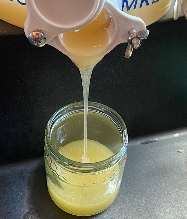 Abfüllung Honig in Gläser