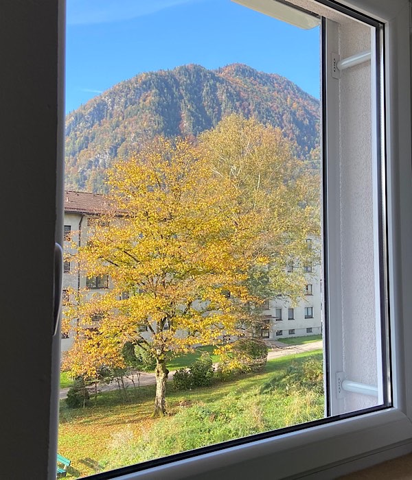 Blick aus einem Fenster: Herbstlicher Baum und Berg